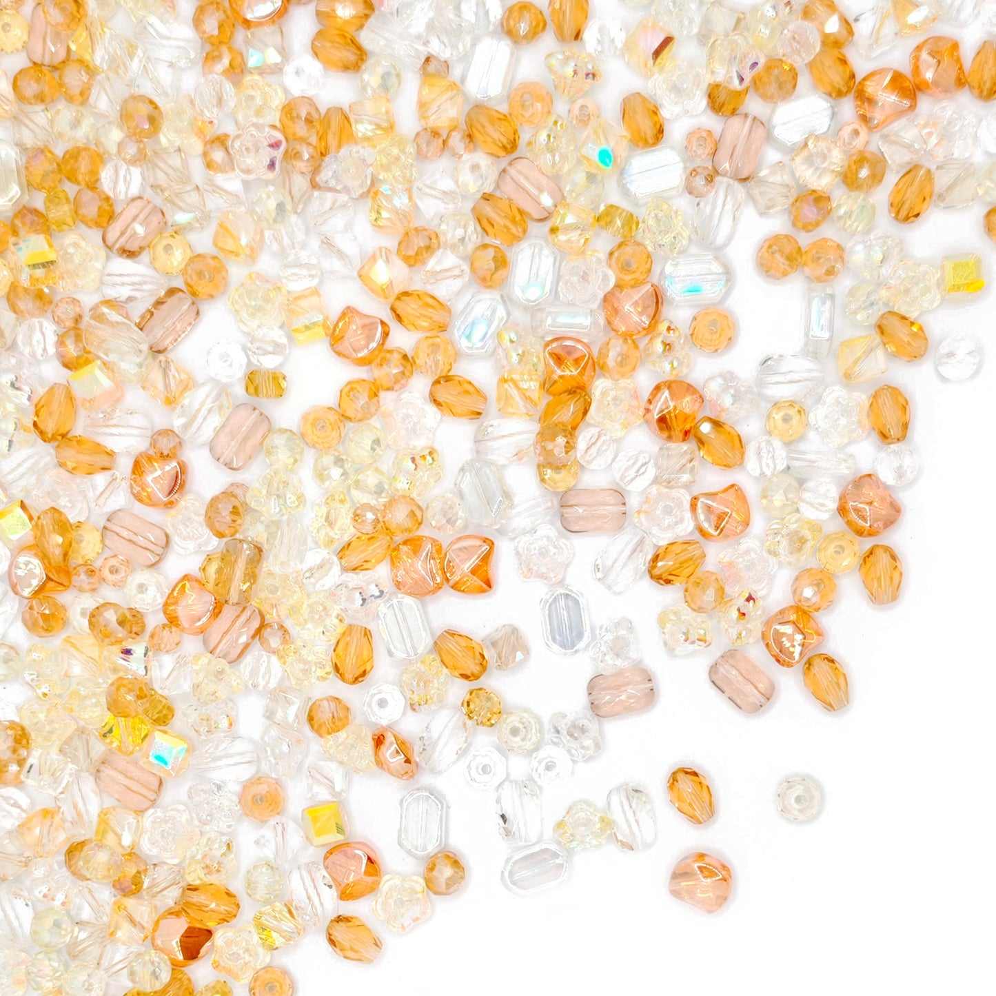 L1086]Tiny Amber Love