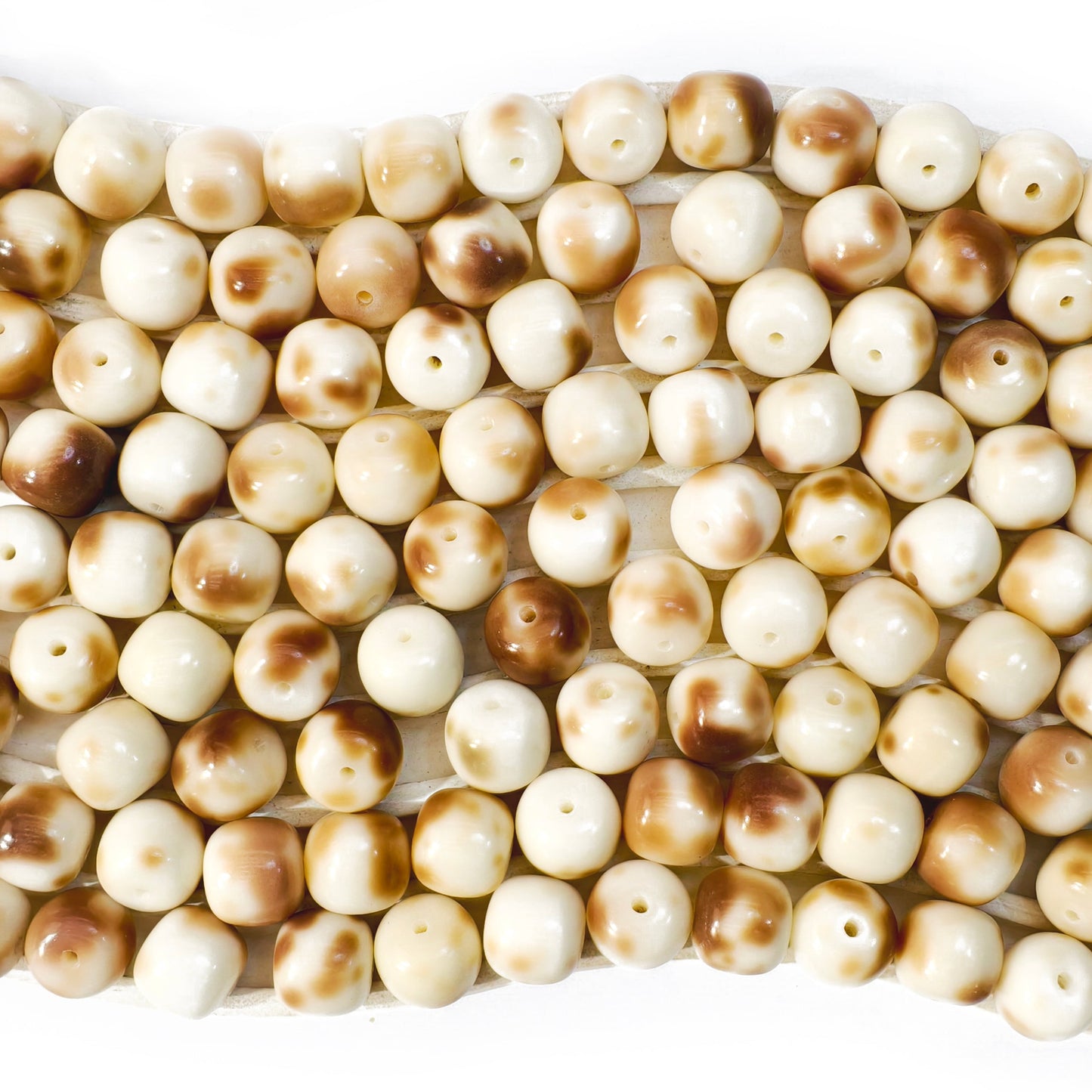 L1144]Bodhi Vanilla Toffee