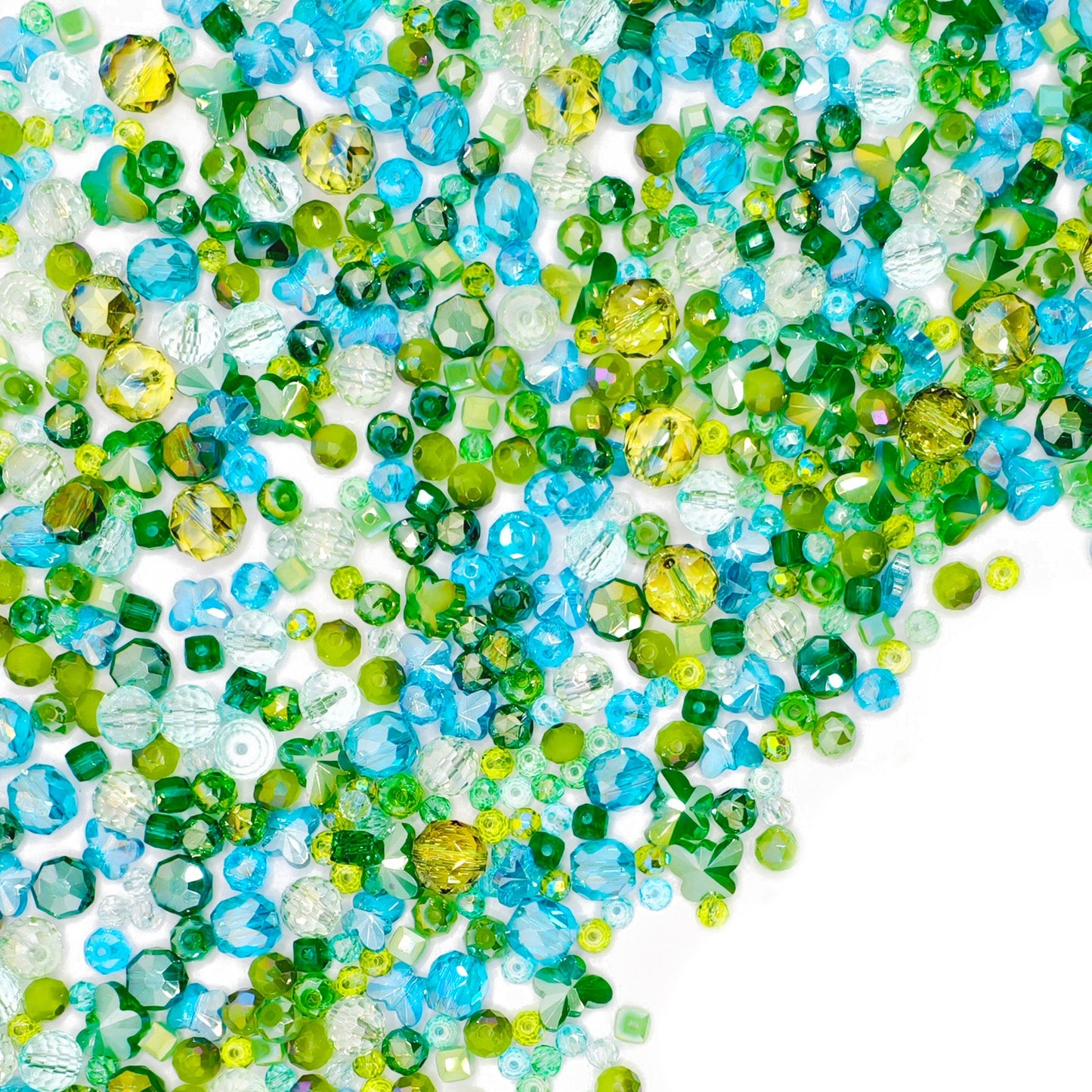 B455]Tiny Lagoon Vacation