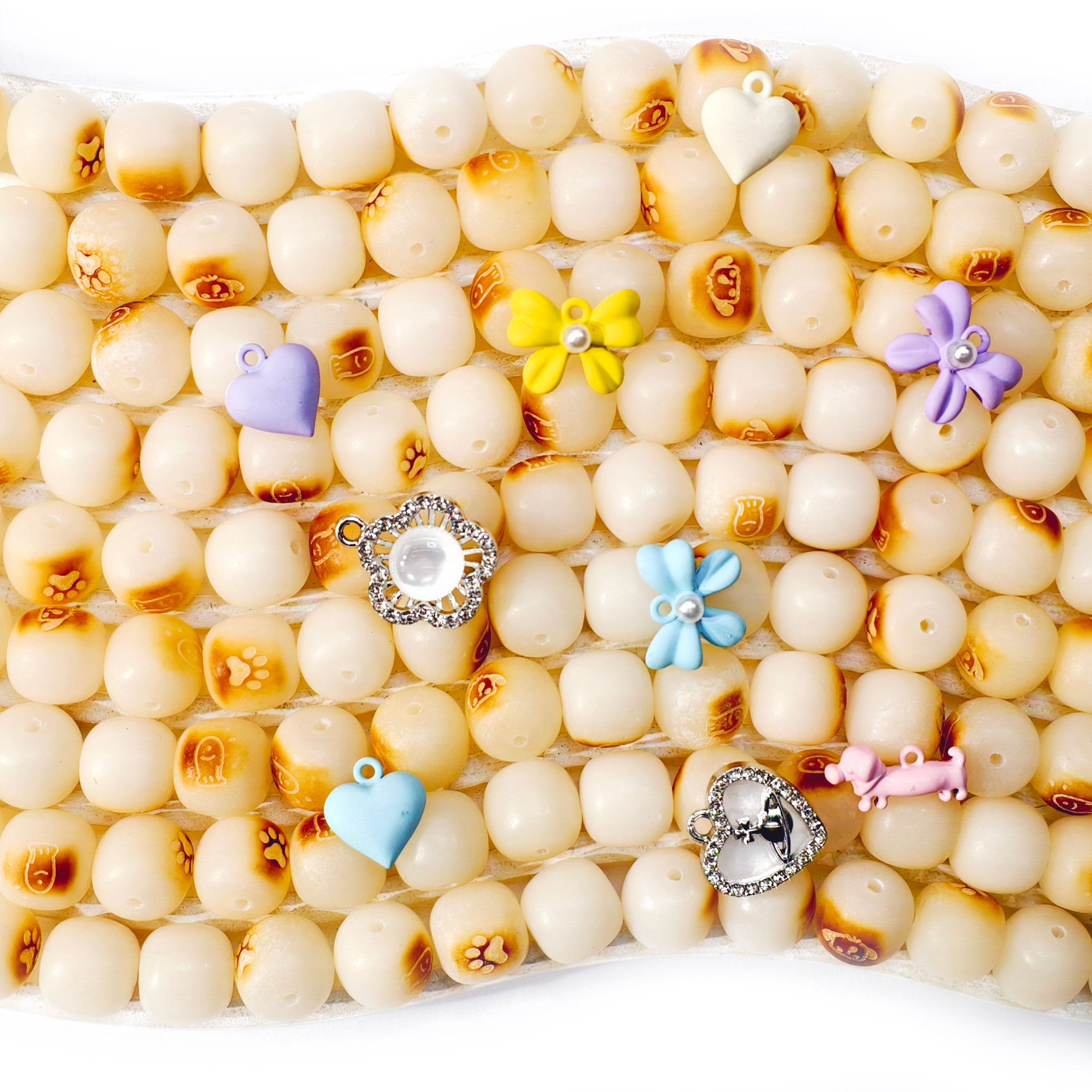 L1084]Bodhi Tosted Puppy